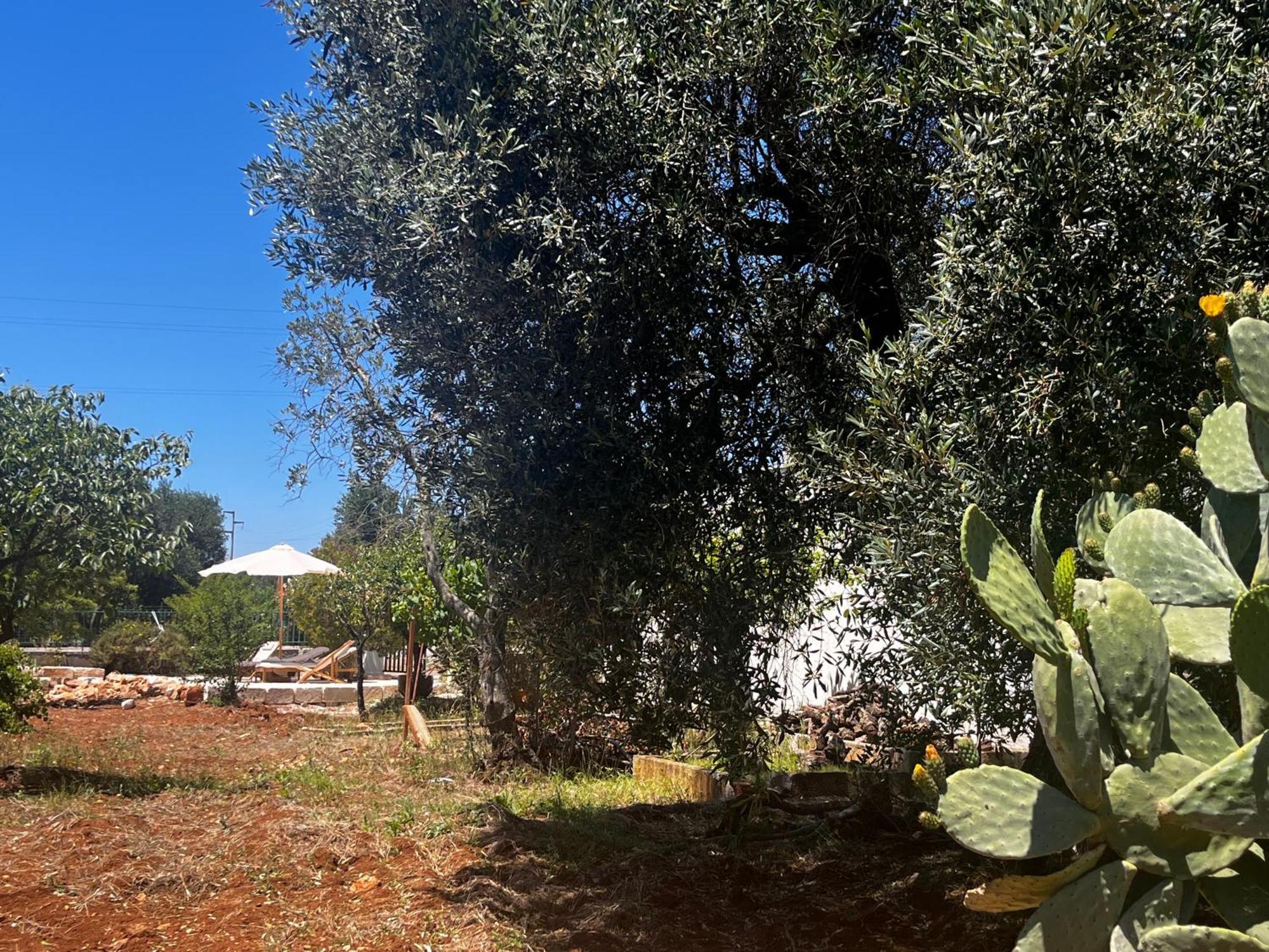 Trullo Teresa Villa Ceglie Messapica Eksteriør billede